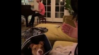 Billie Eilish slapping her tits