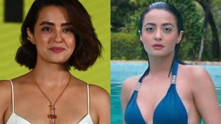 Surveen Chawla Nude